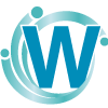 wiseisp.com-logo